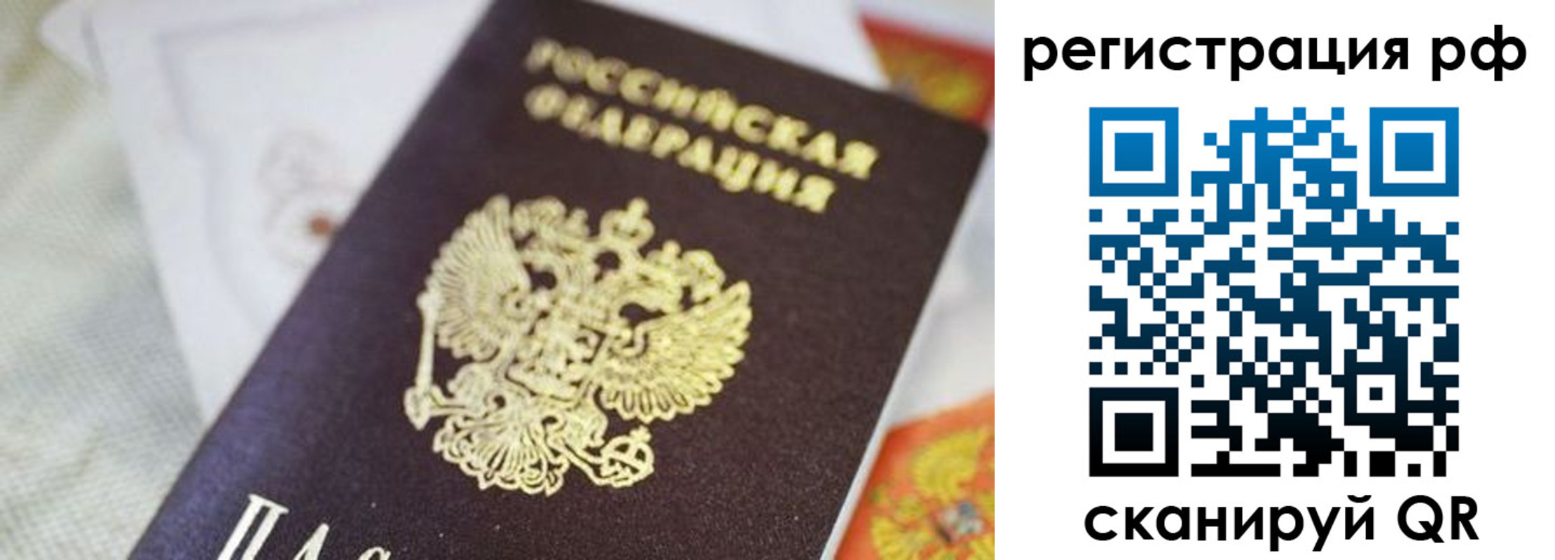 прописка гарантия в Лузе